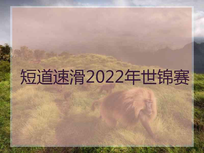 短道速滑2022年世锦赛