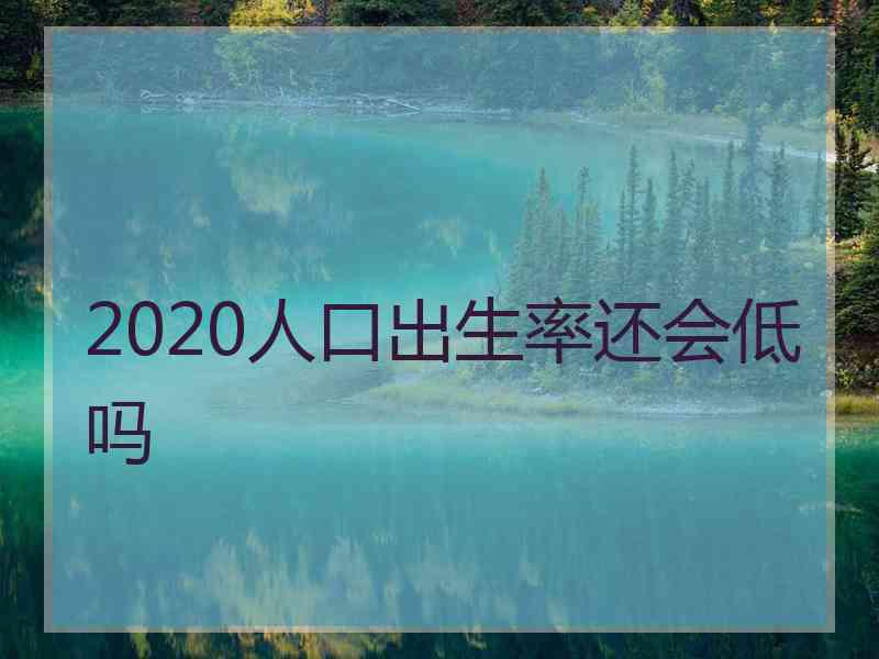 2020人口出生率还会低吗