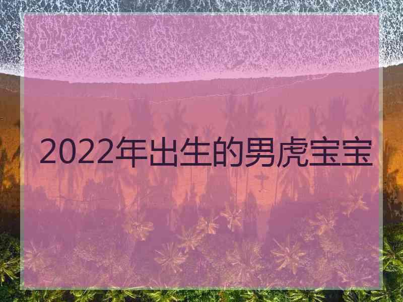 2022年出生的男虎宝宝