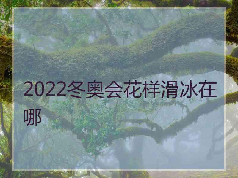 2022冬奥会花样滑冰在哪