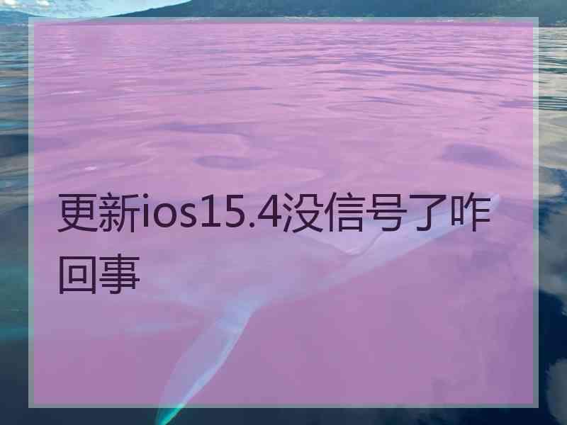 更新ios15.4没信号了咋回事