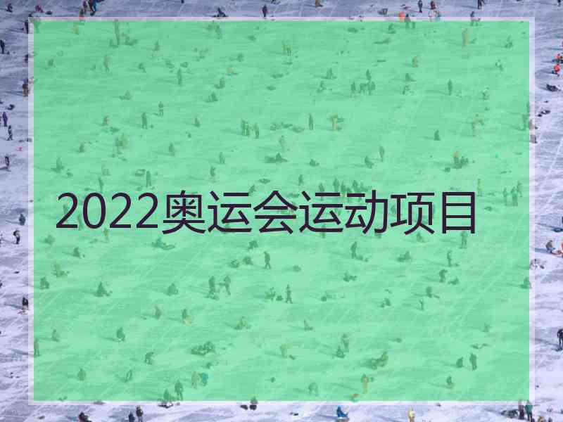 2022奥运会运动项目