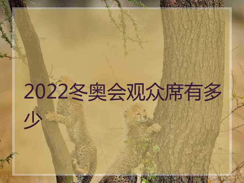 2022冬奥会观众席有多少