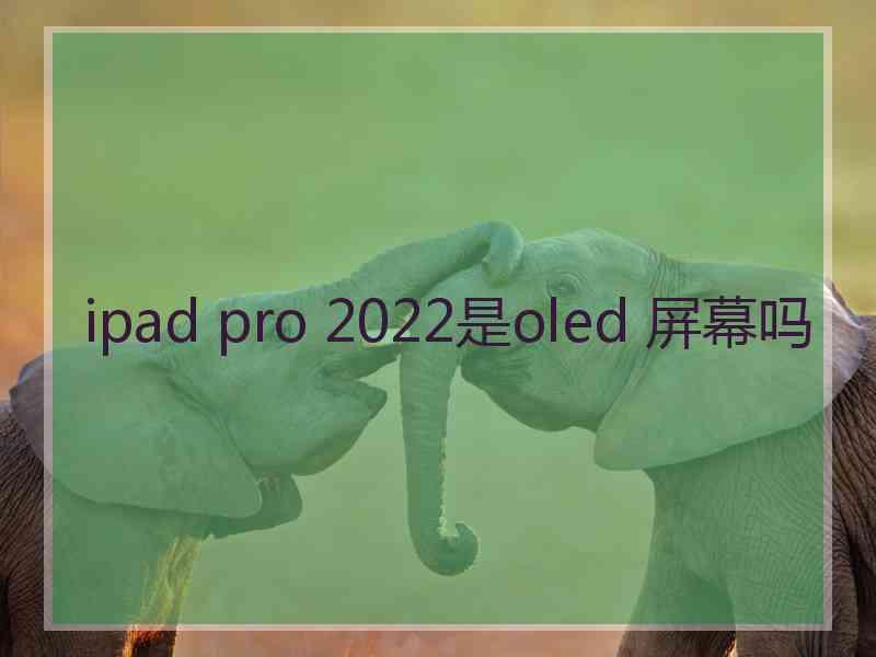 ipad pro 2022是oled 屏幕吗