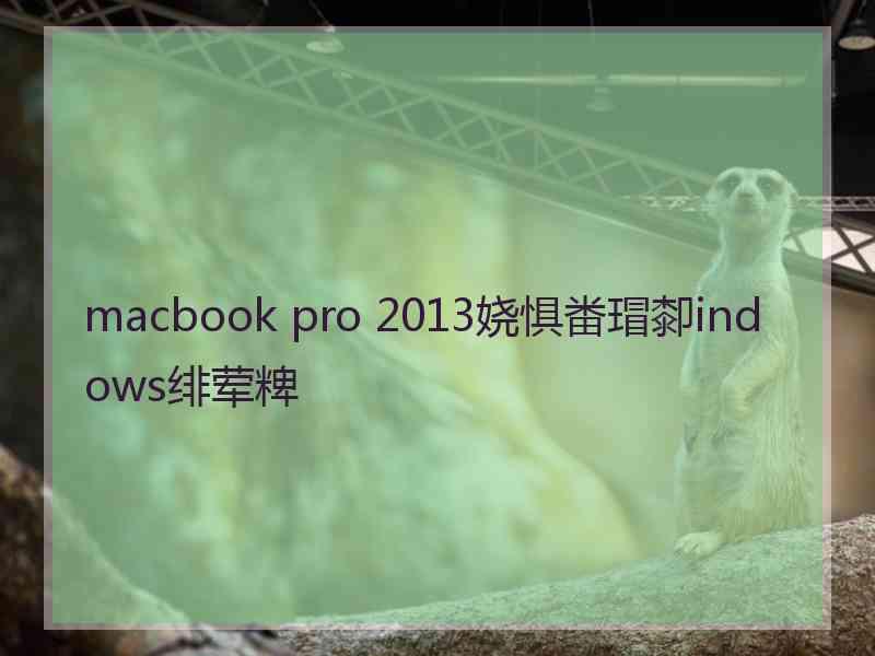 macbook pro 2013娆惧畨瑁厀indows绯荤粺