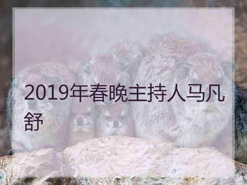 2019年春晚主持人马凡舒