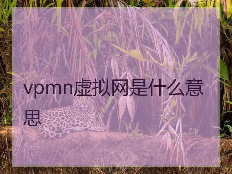 vpmn虚拟网是什么意思