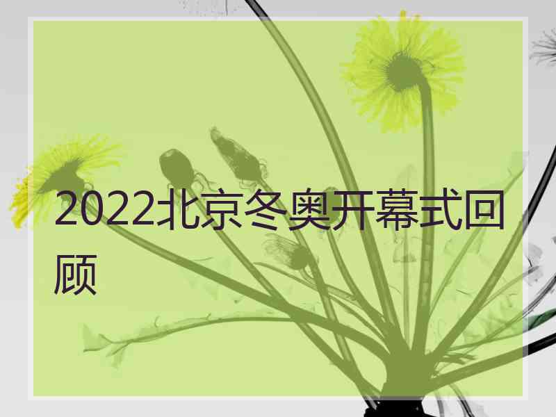 2022北京冬奥开幕式回顾