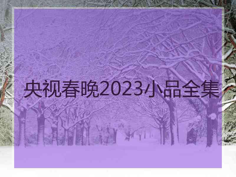 央视春晚2023小品全集