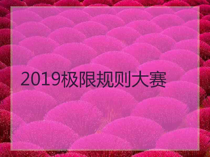 2019极限规则大赛