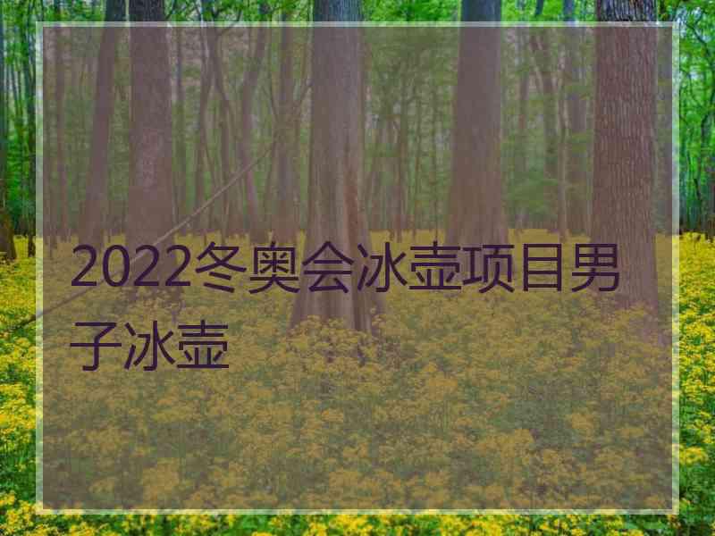 2022冬奥会冰壶项目男子冰壶