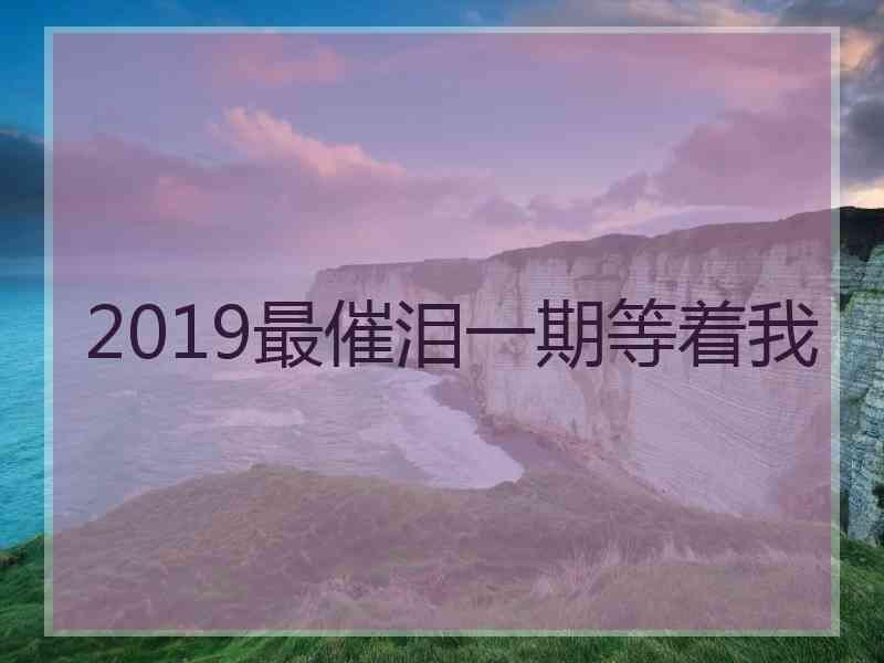 2019最催泪一期等着我