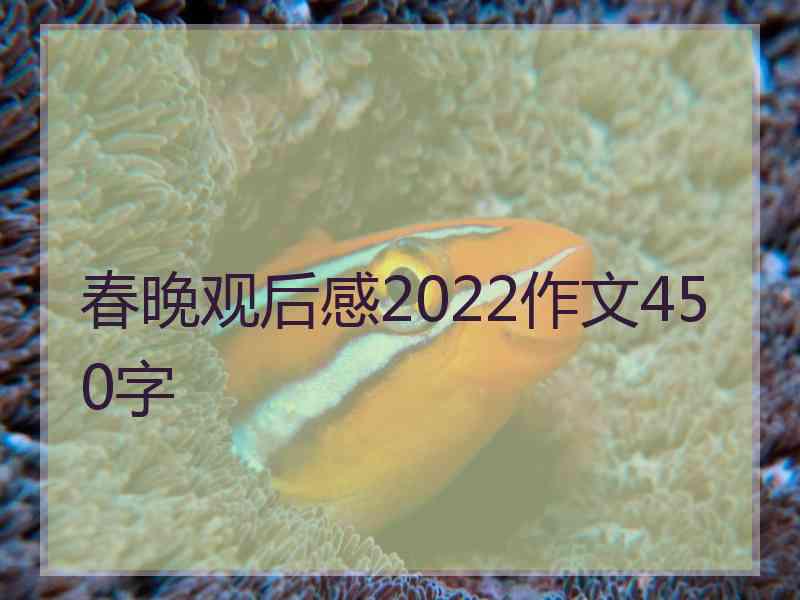 春晚观后感2022作文450字