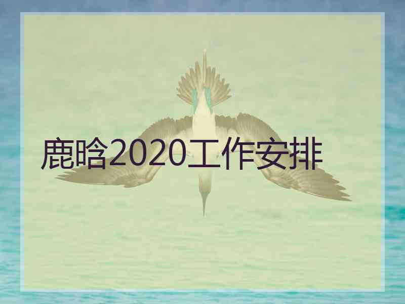 鹿晗2020工作安排