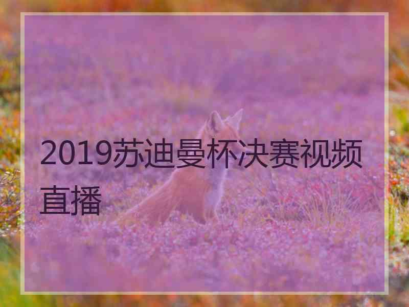 2019苏迪曼杯决赛视频直播