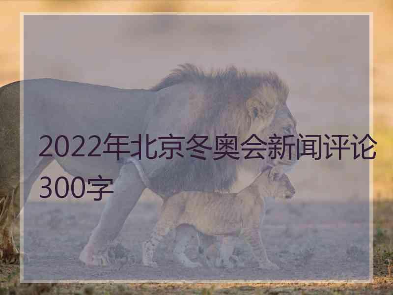 2022年北京冬奥会新闻评论300字