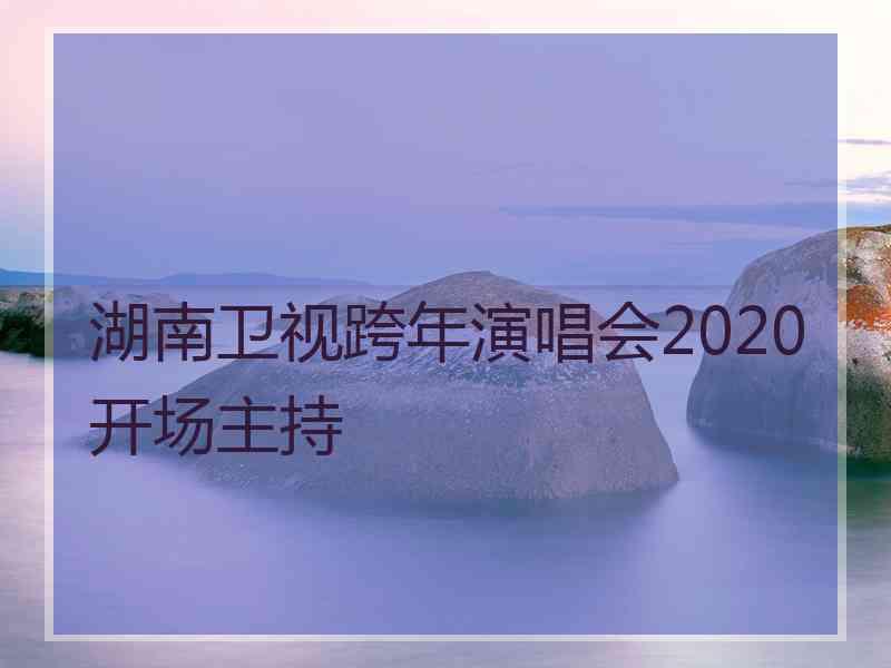 湖南卫视跨年演唱会2020开场主持