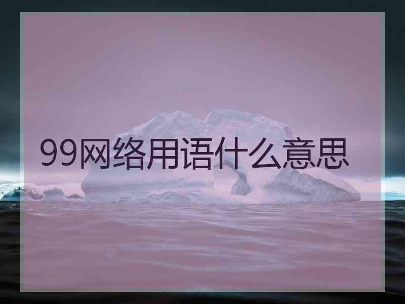 99网络用语什么意思