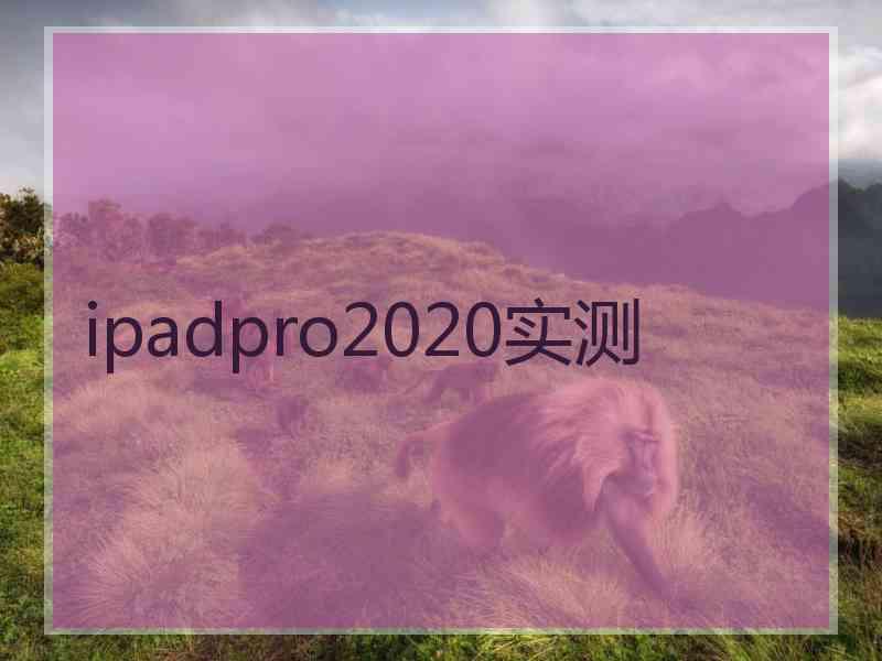 ipadpro2020实测