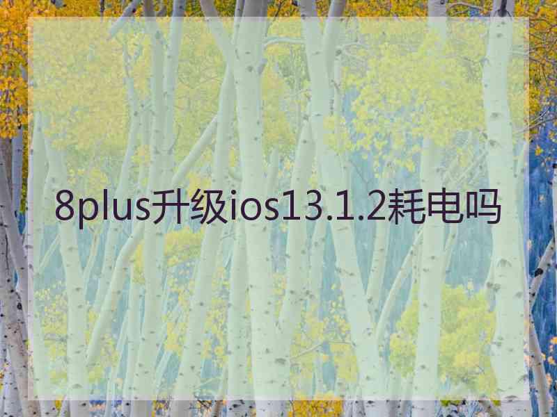 8plus升级ios13.1.2耗电吗