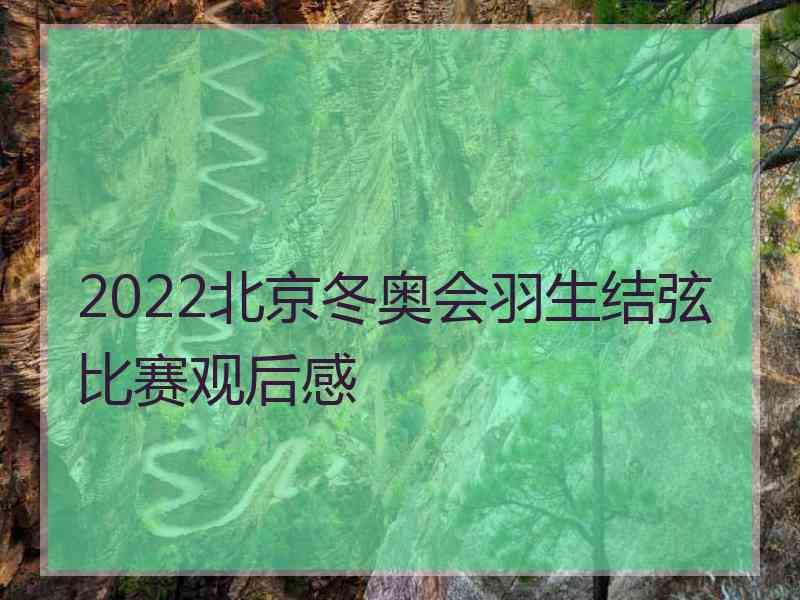 2022北京冬奥会羽生结弦比赛观后感