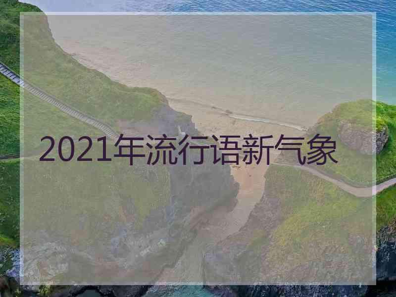 2021年流行语新气象