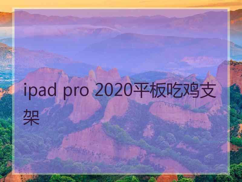 ipad pro 2020平板吃鸡支架