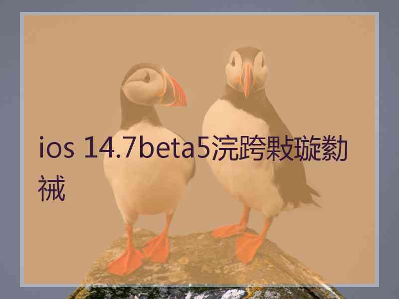 ios 14.7beta5浣跨敤璇勬祴