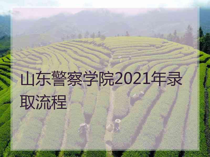 山东警察学院2021年录取流程