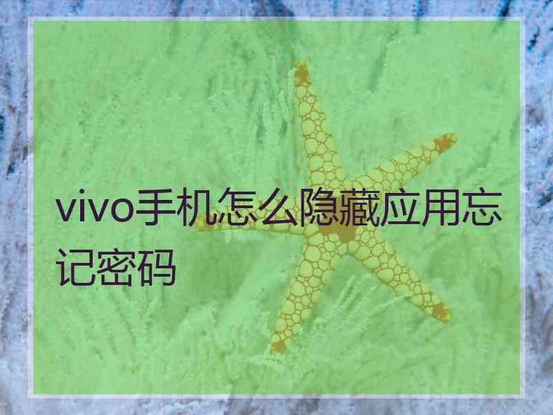 vivo手机怎么隐藏应用忘记密码