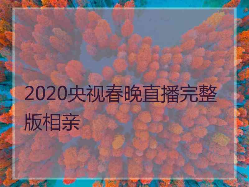 2020央视春晚直播完整版相亲