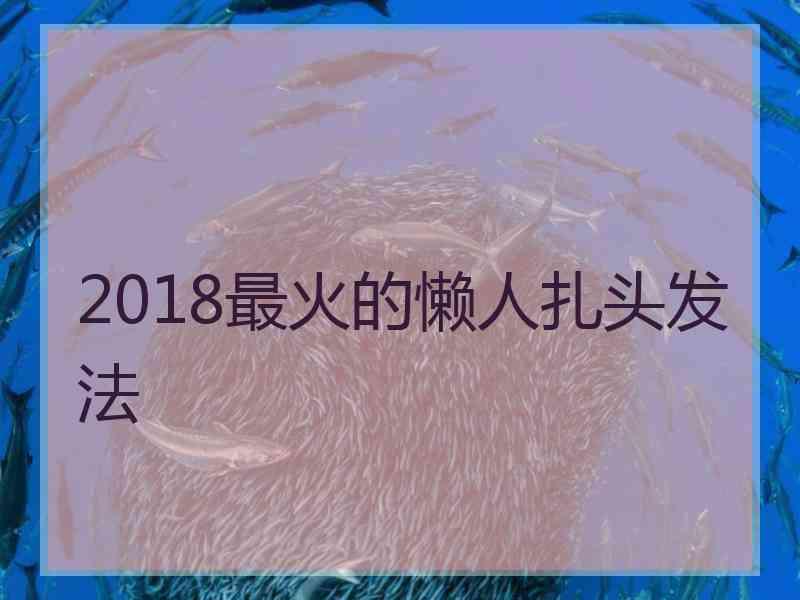 2018最火的懒人扎头发法