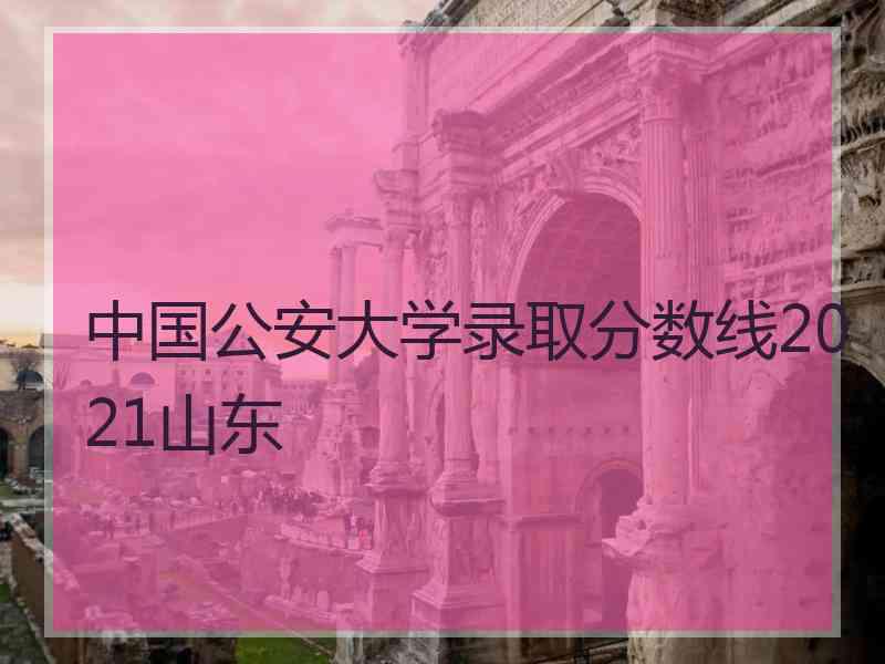 中国公安大学录取分数线2021山东