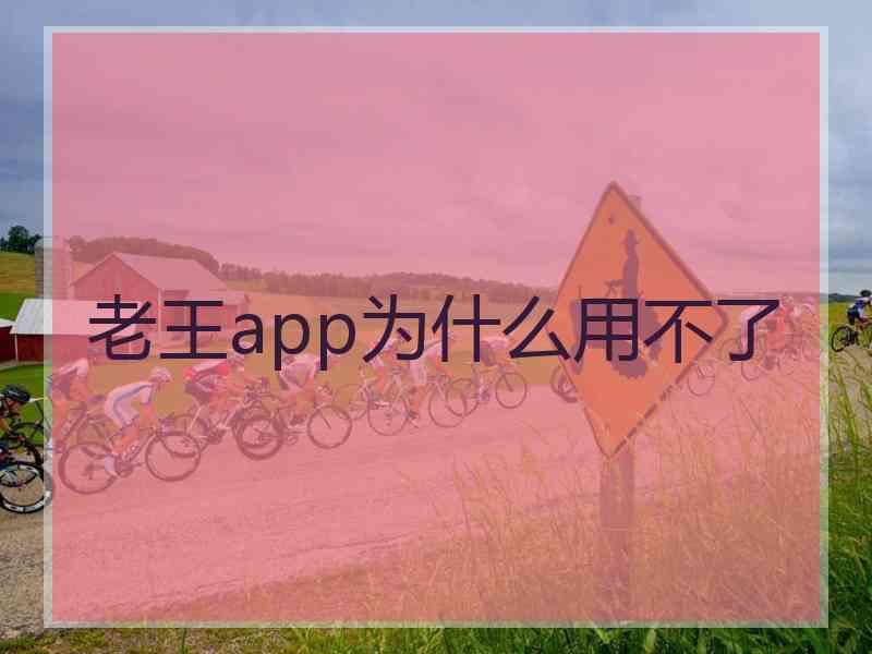 老王app为什么用不了