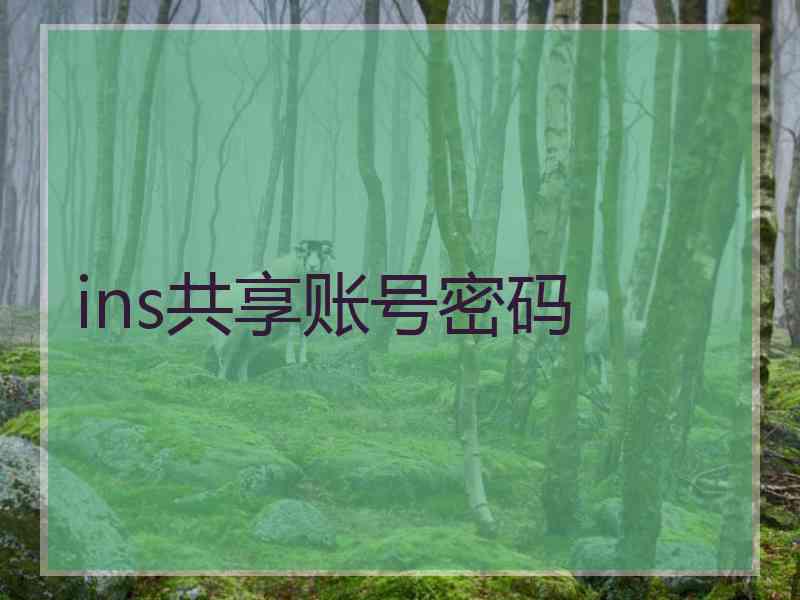 ins共享账号密码