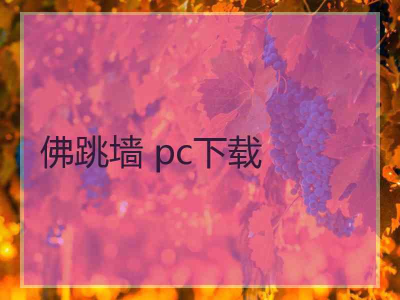 佛跳墙 pc下载