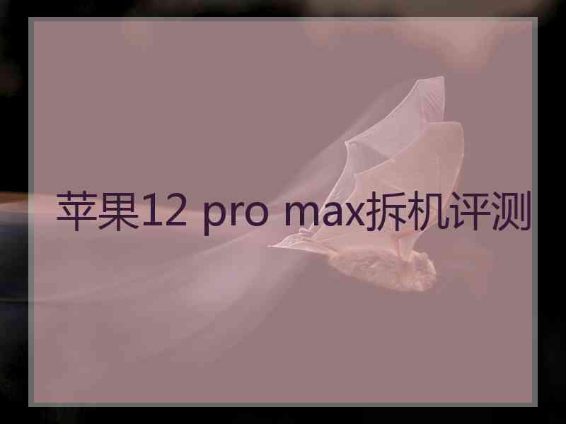 苹果12 pro max拆机评测