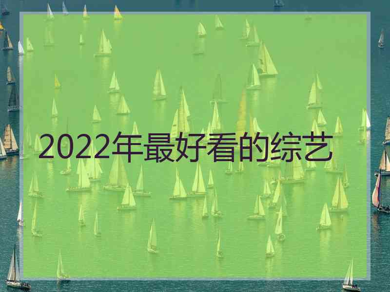 2022年最好看的综艺