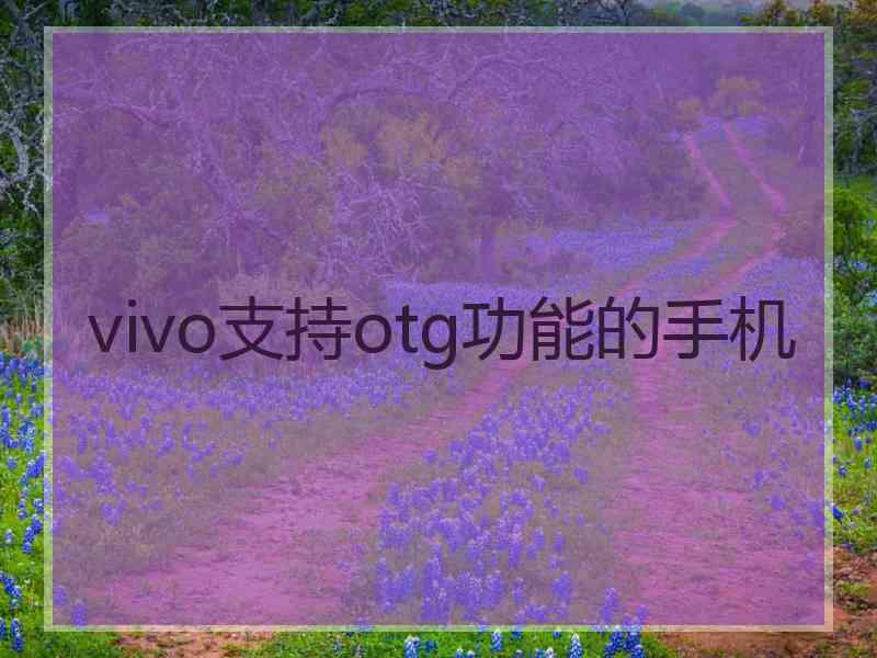 vivo支持otg功能的手机