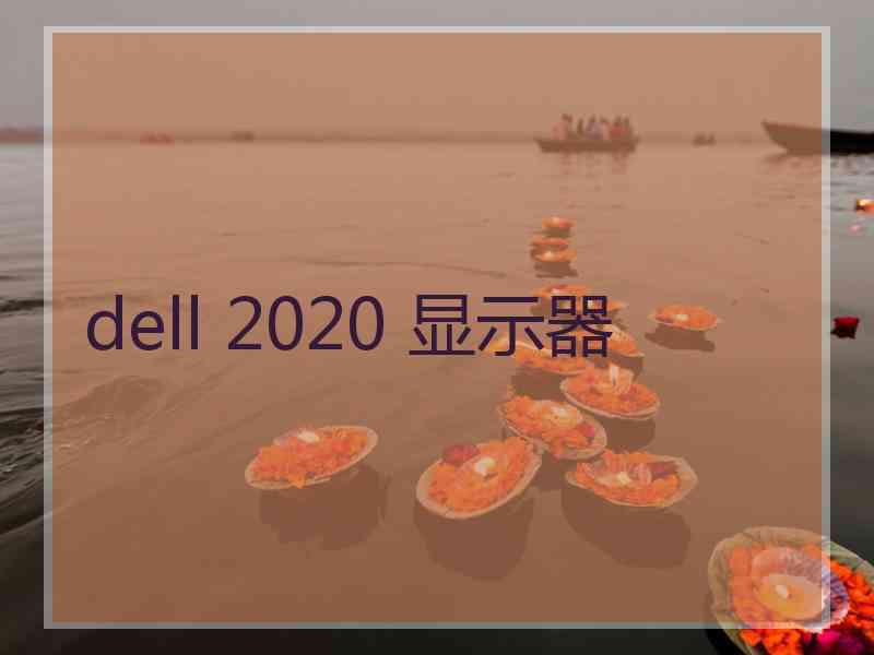 dell 2020 显示器