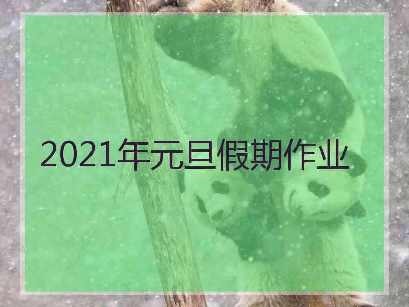 2021年元旦假期作业