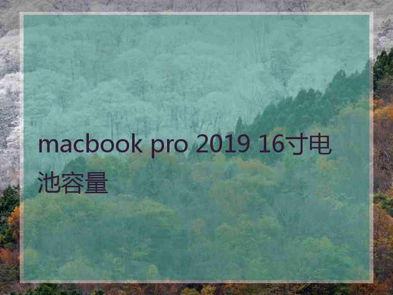 macbook pro 2019 16寸电池容量