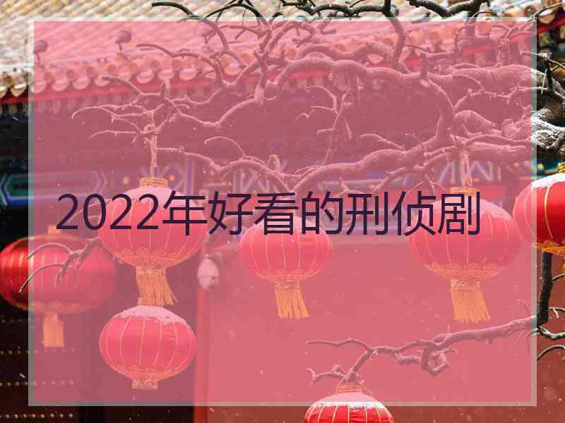 2022年好看的刑侦剧