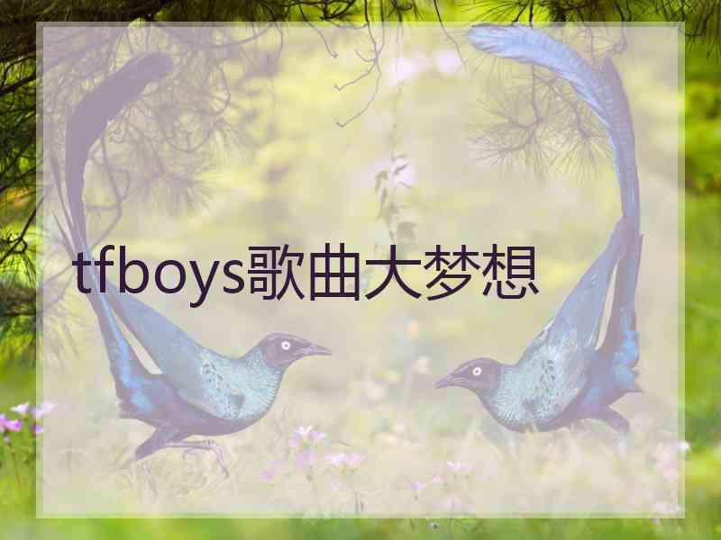 tfboys歌曲大梦想