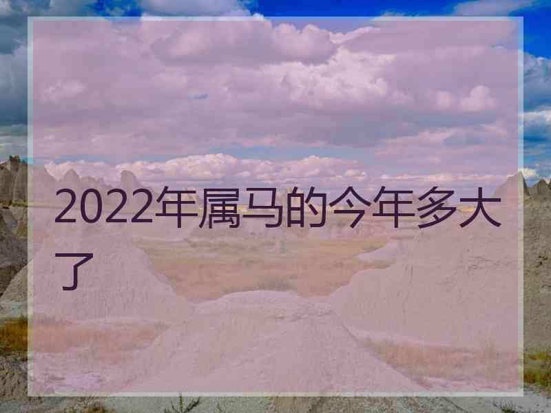 2022年属马的今年多大了