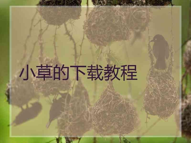 小草的下载教程