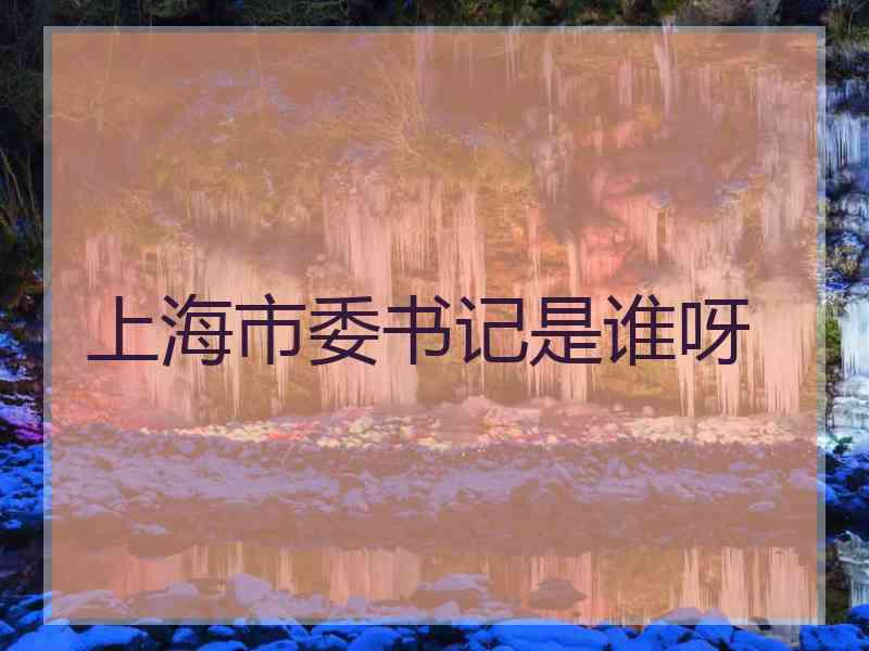 上海市委书记是谁呀