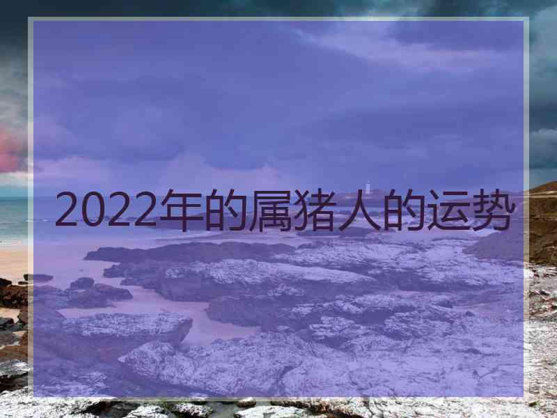 2022年的属猪人的运势