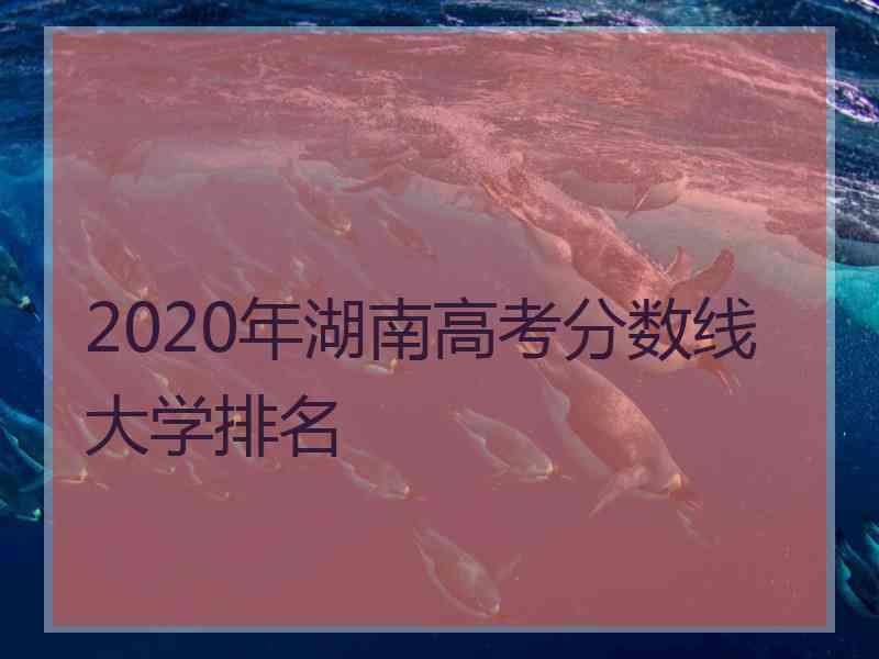 2020年湖南高考分数线大学排名