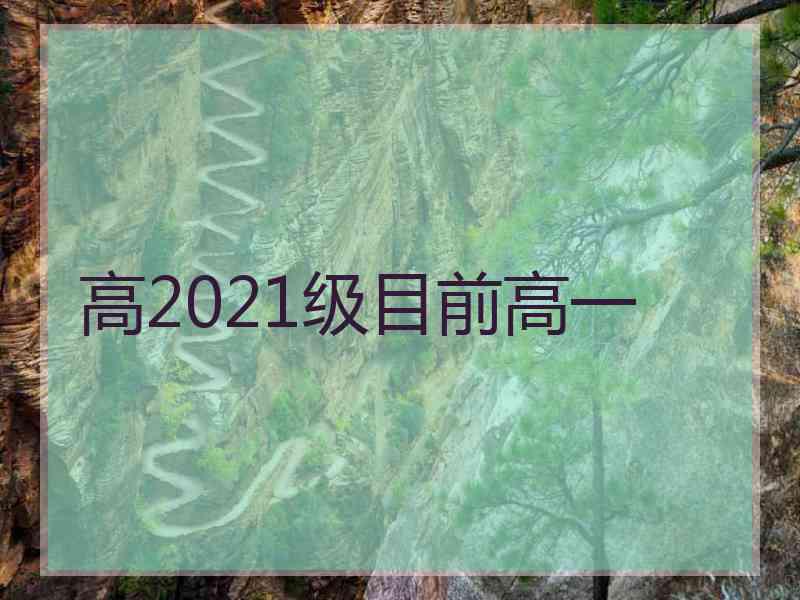 高2021级目前高一